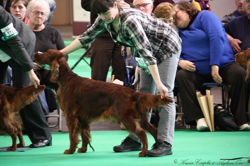 Crufts2011 755.jpg